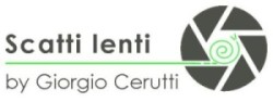 Scatti Lenti Logo